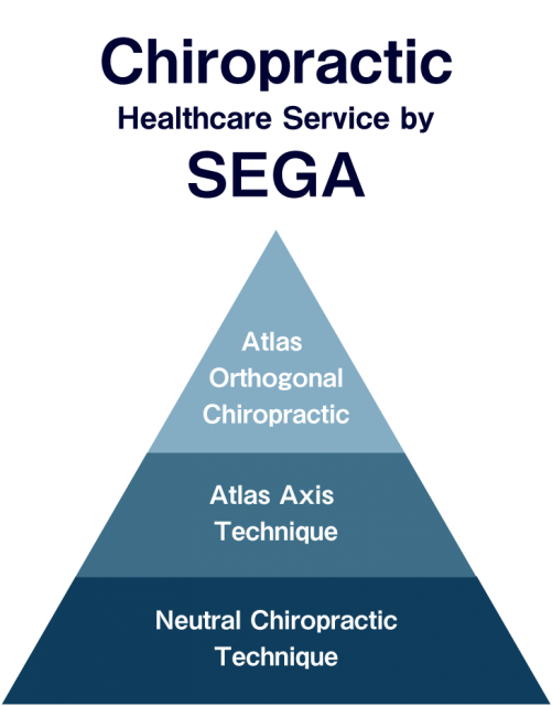 Chiropractic Healthcare Service by Sega